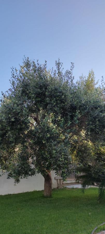 La Bella Dimora Bed & Breakfast Otranto Exterior photo